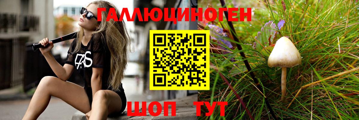 Псилоцибиновые грибы Psilocybe  Вход с VPN  Якутск  Галлюциногенные грибы Psilocybine cubensis 